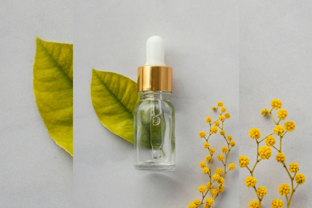 5 Best Affordable Bakuchiol Serums for a Gentler Night Routine article image