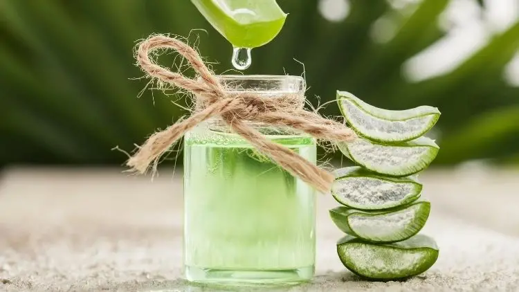 6 Best Vegan Skincare Products for Sensitive Skin (2026 Guide) article image
