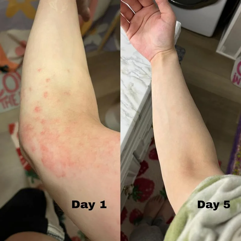 k2 e4273577 4f50 44ae a730 97b7b06b7044.v1